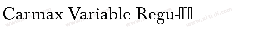 Carmax Variable Regu字体转换
